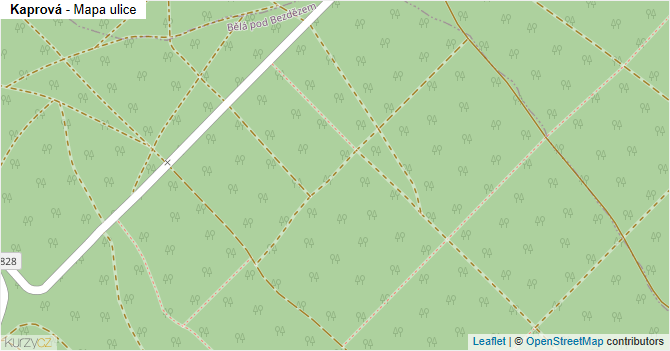 Kaprová - mapa ulice