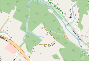 Mezi Lesy v obci Liberec - mapa ulice