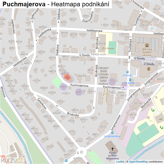 Mapa Puchmajerova - Firmy v ulici.