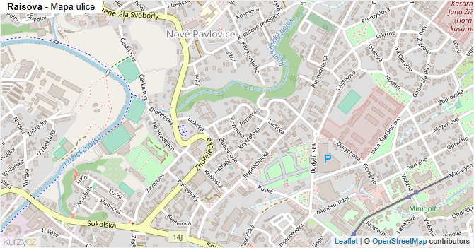 Raisova - mapa ulice