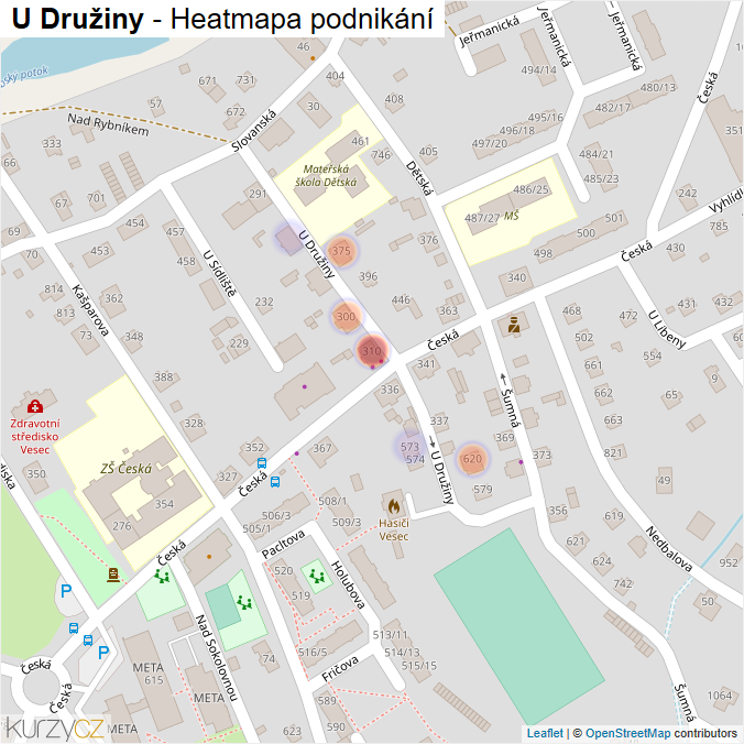 Mapa U Družiny - Firmy v ulici.