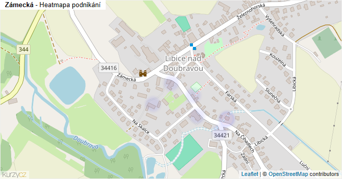 Zámecká - mapa podnikání