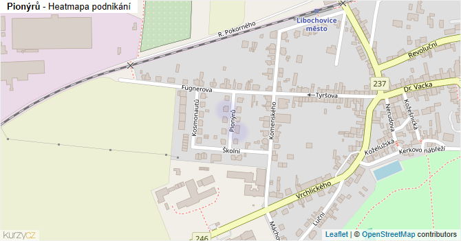 Pionýrů - mapa podnikání