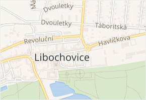 Riegrova v obci Libochovice - mapa ulice