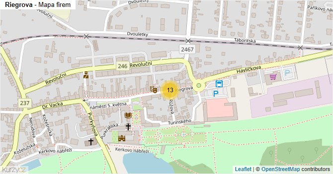Riegrova - mapa firem