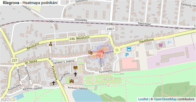 Riegrova - mapa podnikání