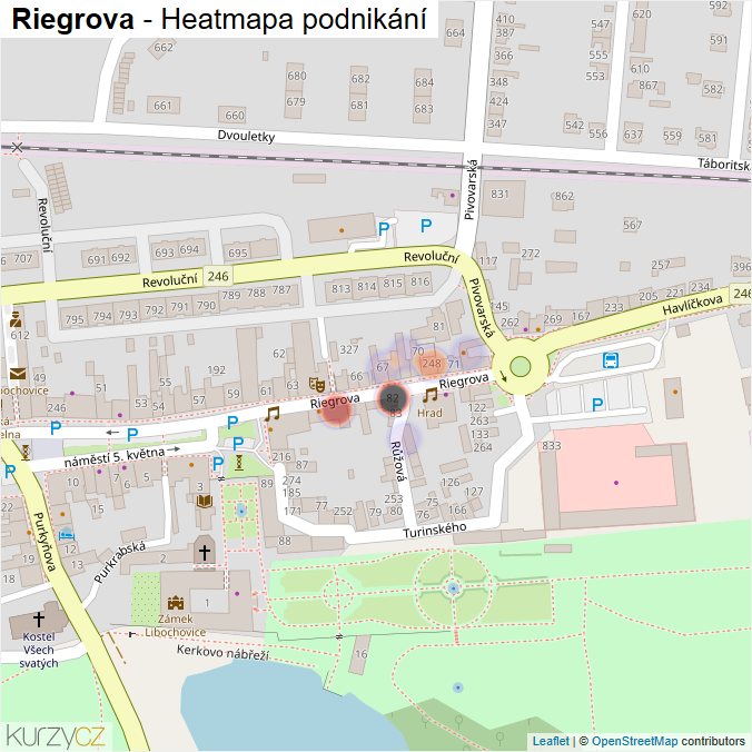 Mapa Riegrova - Firmy v ulici.
