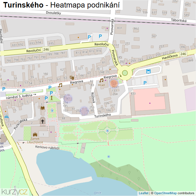 Mapa Turinského - Firmy v ulici.