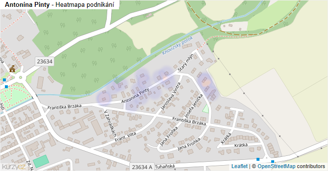 Antonína Pinty - mapa podnikání