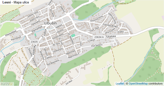 Lesní - mapa ulice