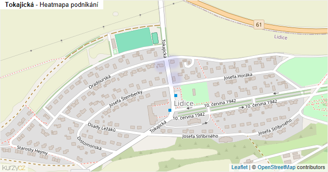 Tokajická - mapa podnikání