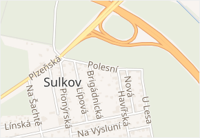 Polesní v obci Líně - mapa ulice
