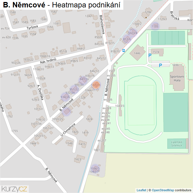 Mapa B. Němcové - Firmy v ulici.