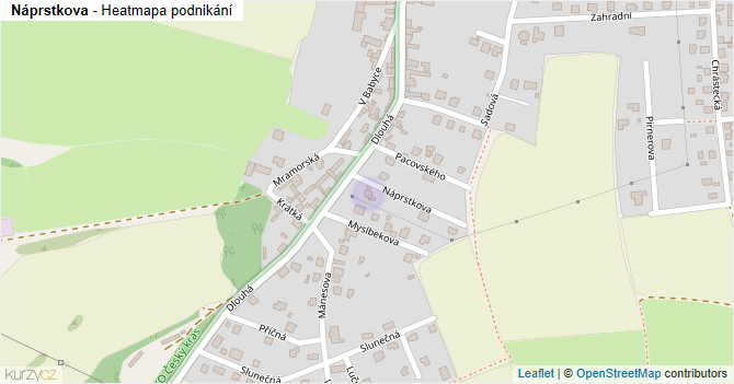 Náprstkova - mapa podnikání