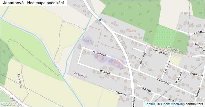 Jasmínová - mapa podnikání