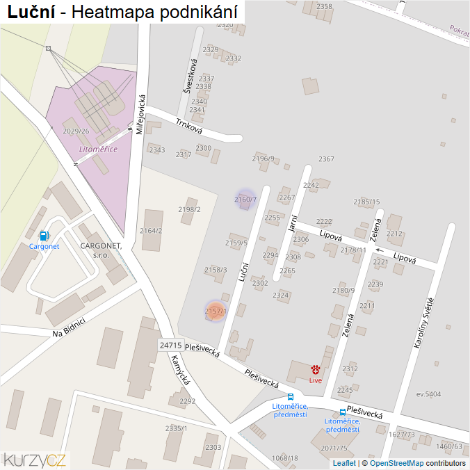 Mapa Luční - Firmy v ulici.