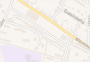 Marie Majerové v obci Litoměřice - mapa ulice