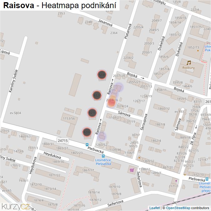 Mapa Raisova - Firmy v ulici.