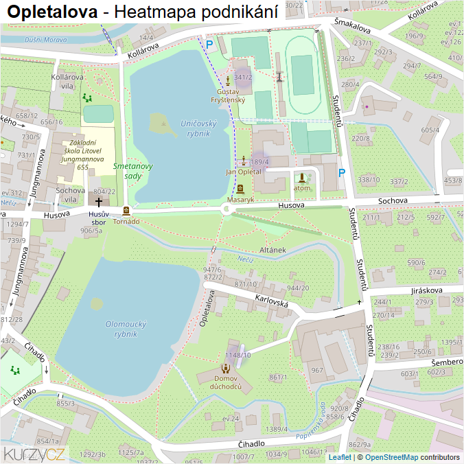 Mapa Opletalova - Firmy v ulici.