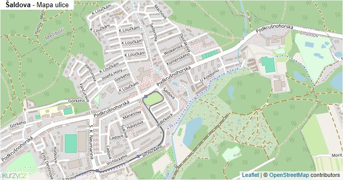 Šaldova - mapa ulice