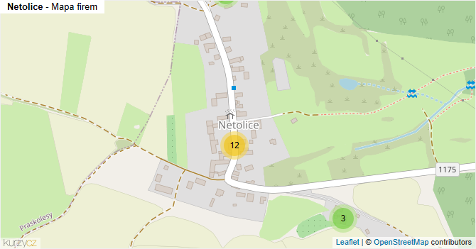 Netolice - mapa firem