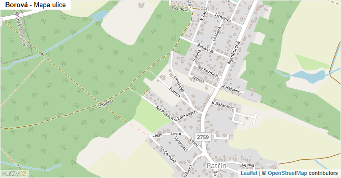 Borová - mapa ulice