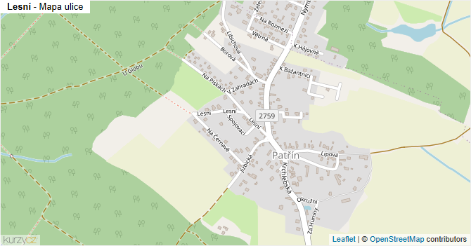 Lesní - mapa ulice