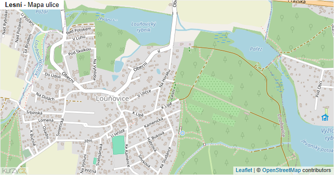 Lesní - mapa ulice