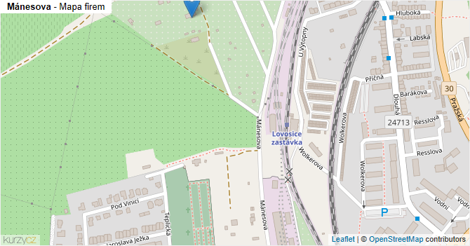 Mánesova - mapa firem