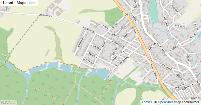 Lesní - mapa ulice