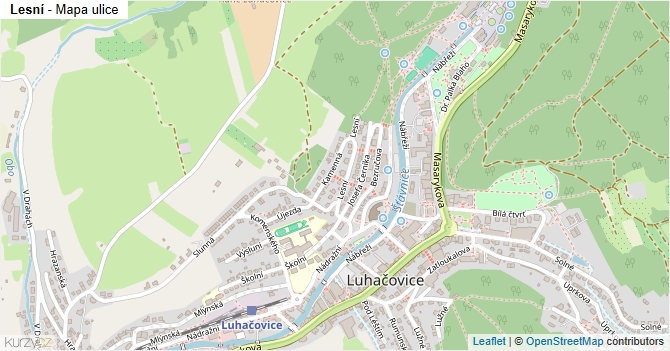 Lesní - mapa ulice