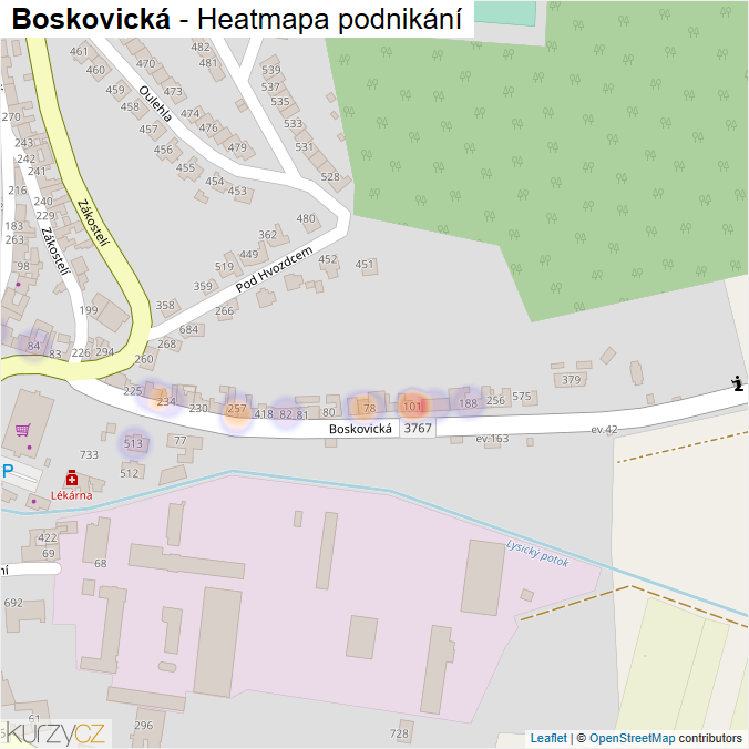 Mapa Boskovická - Firmy v ulici.
