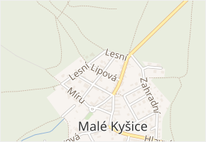 Lipová v obci Malé Kyšice - mapa ulice