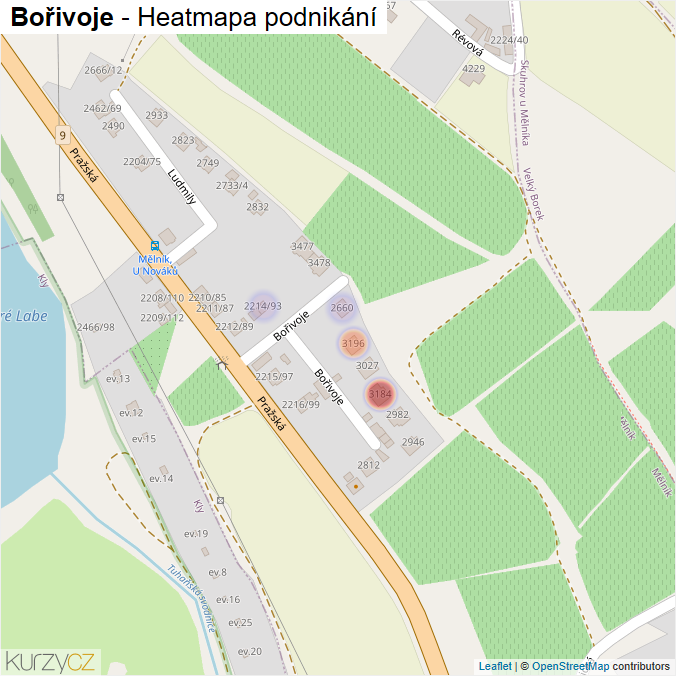 Mapa Bořivoje - Firmy v ulici.