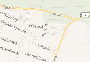 Borová v obci Mělník - mapa ulice