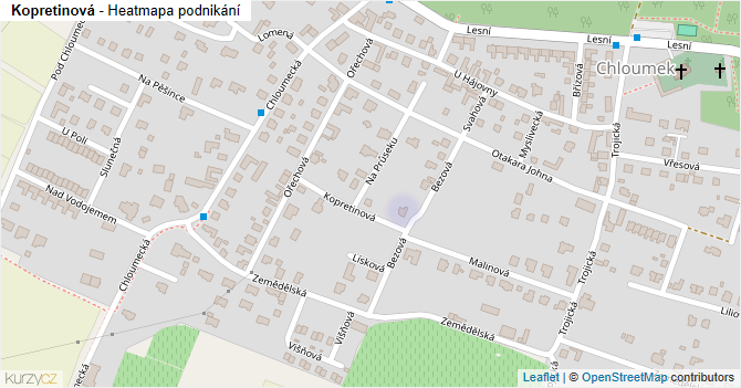 Kopretinová - mapa podnikání