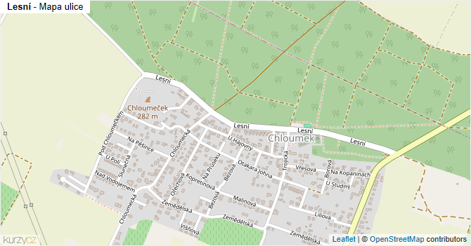 Lesní - mapa ulice