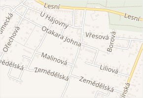 Otakara Johna v obci Mělník - mapa ulice