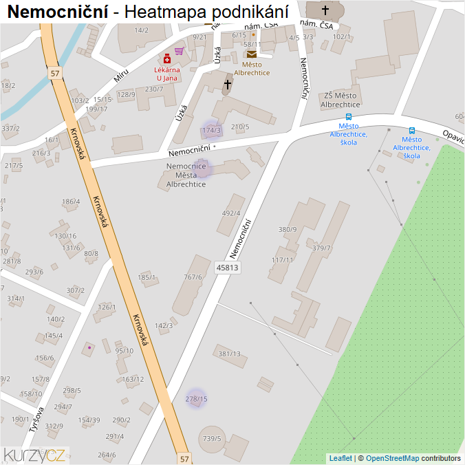 Mapa Nemocniční - Firmy v ulici.