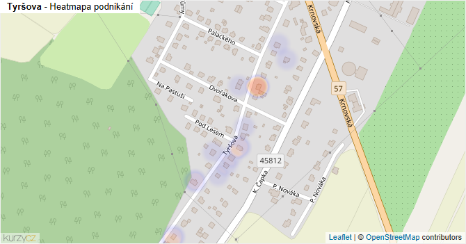 Tyršova - mapa podnikání