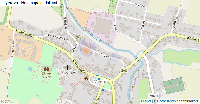 Tyršova - mapa podnikání