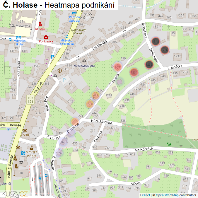 Mapa Č. Holase - Firmy v ulici.