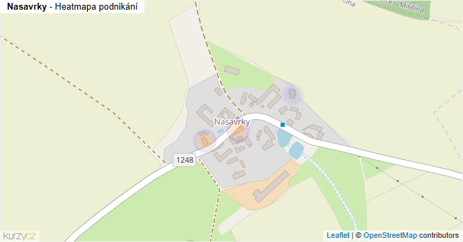 Nasavrky - mapa podnikání