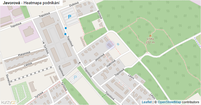 Javorová - mapa podnikání