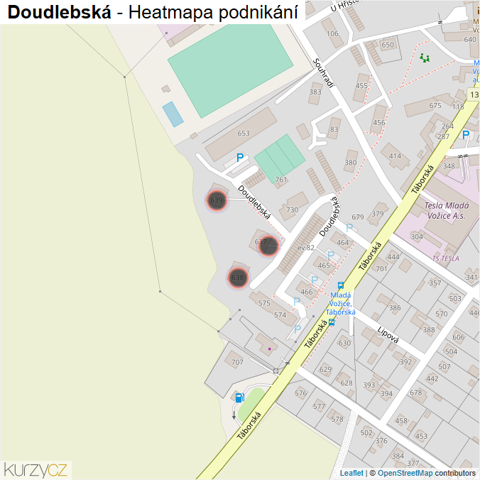 Mapa Doudlebská - Firmy v ulici.