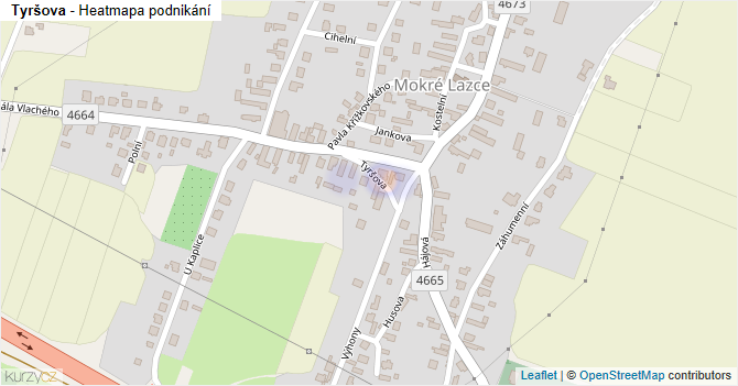 Tyršova - mapa podnikání