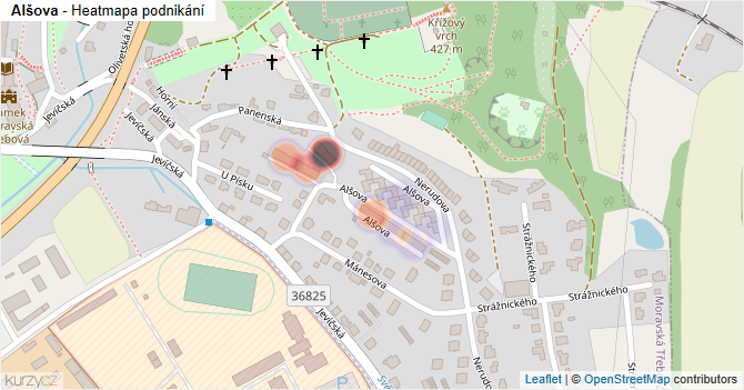 Alšova - mapa podnikání