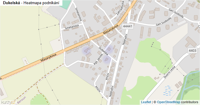 Dukelská - mapa podnikání
