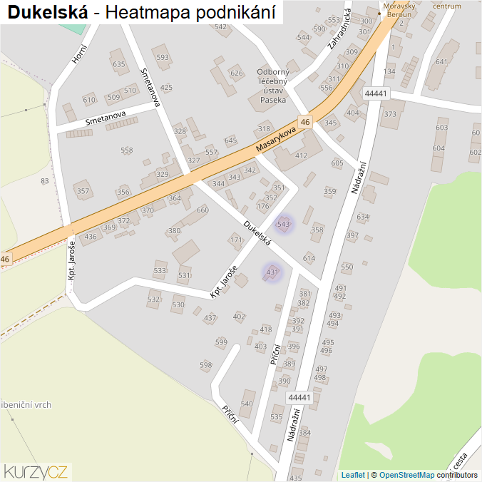 Mapa Dukelská - Firmy v ulici.