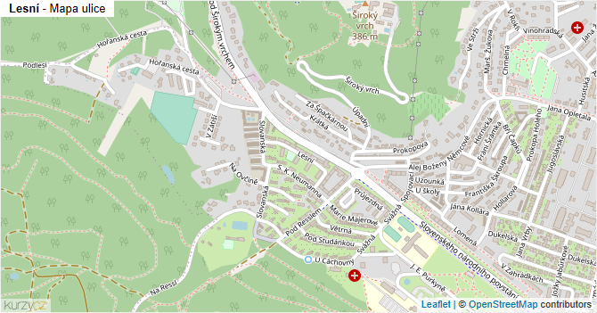 Lesní - mapa ulice